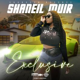 Album cover of Exclusive