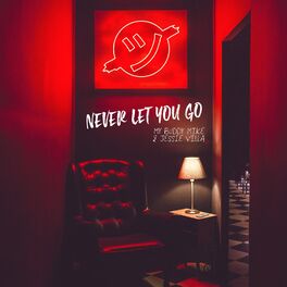 Album cover of Never Let You Go