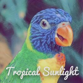 Album cover of Tropical Sunlight