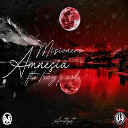 Album cover of Amnesia (feat. Trc & J-Ash)
