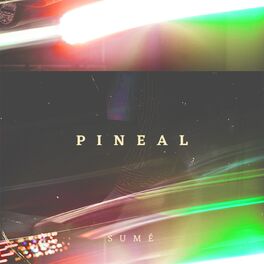 Album cover of Pineal