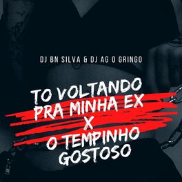 Album cover of TÔ VOLTANDO PRA MINHA EX x O TEMPINHO GOSTOSO (feat. DJ AG O GRINGO)