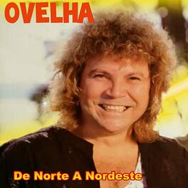 Album cover of De Norte a Nordeste