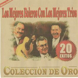 Album cover of Coleccion De Oro