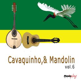Album cover of Cavaquinho e Mandolin Vol.6