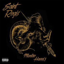 Album cover of Saint Regis (Remember the Time)
