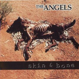 Album cover of Skin And Bone