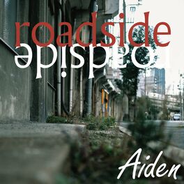 Album cover of roadside