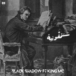 Album cover of سمفونية