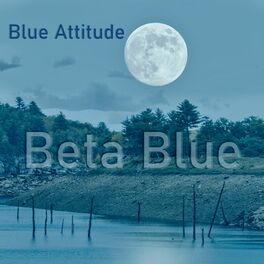 Album cover of Beta Blue