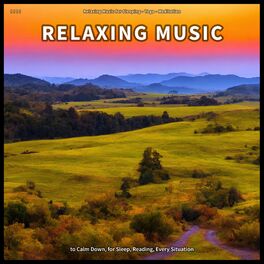 Album cover of ! ! ! ! Relaxing Music to Calm Down, for Sleep, Reading, Every Situation