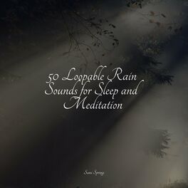 Album cover of 50 Loopable Rain Sounds for Sleep and Meditation