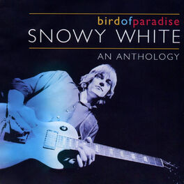 Album cover of Bird of Paradise - An Anthology
