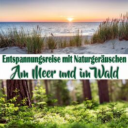 Album cover of Entspannungsreise mit Naturgeräuschen: Am Meer und im Wald