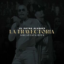 Album cover of La Trayectoria (Greatest Hits)