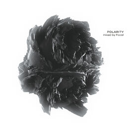 Album cover of Polarity (DJ Mix)