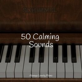 Album cover of 50 Calming Sounds