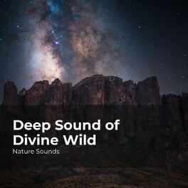 Album cover of Deep Sound of Divine Wild