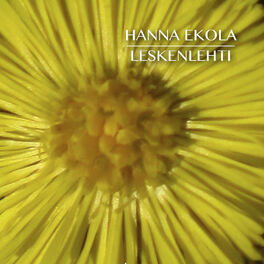Hanna Ekola - Enkelin Siipien Havinaa: lyrics and songs | Deezer