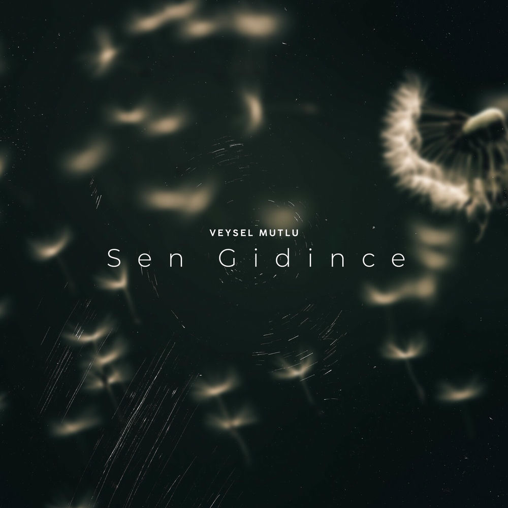 Gitme sen. Gitme sen. Турция 2011. Gitme. Gitme sen.