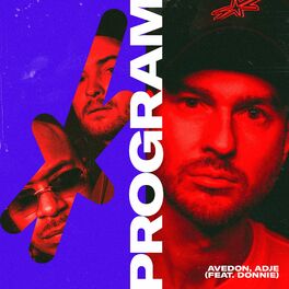 Album cover of Program (feat. Donnie)