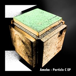 Album cover of Particle C