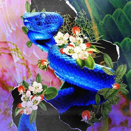 Album cover of asiatic.wav Vol.3