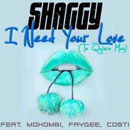 Album cover of I Need Your Love (Te Quiero Mas) (feat. Mohombi, Faydee & Costi)
