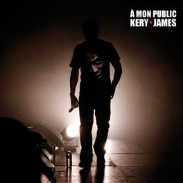 Album cover of À mon public (Live au Zénith de Paris le 18 décembre 2009)
