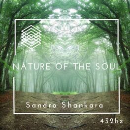Album cover of Nature of the Soul : 432Hz