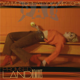Album cover of Promised Land (Remixes)