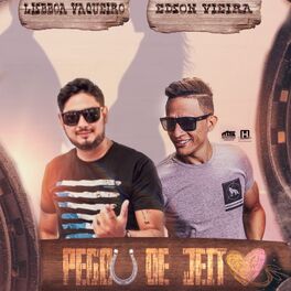 Album cover of Pegou de Jeito