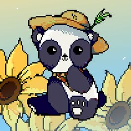 Album cover of Pixel Panda