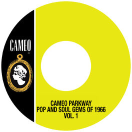 Album cover of Cameo Parkway Pop And Soul Gems Of 1966 Vol. 1