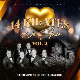 Album cover of 14 Kilates de Amor, Vol. 2