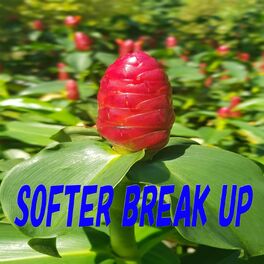Album cover of Softer Break Up