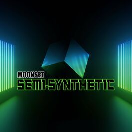 Album cover of Semi-Synthetic