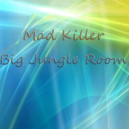 Album cover of Big Jungle Room