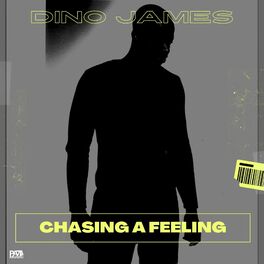 Album cover of Chasing a Feeling