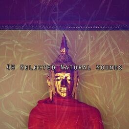 Album cover of 49 Selected Natural Sounds