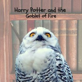 Album cover of Harry Potter and the Goblet of Fire (Piano Themes)