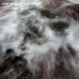 Album cover of How Wide are Your Wings?