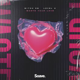 Album cover of Waste Your Love