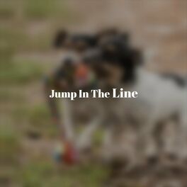 Album cover of Jump In The Line