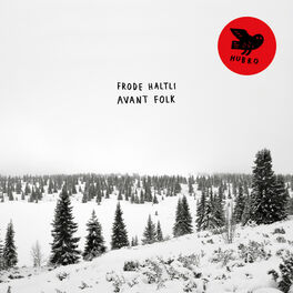 Album cover of Avant Folk