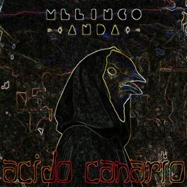 Album cover of Anda