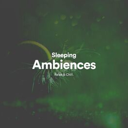 Album cover of Sleeping Ambiences