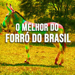 Album cover of O Melhor do Forró do Brasil