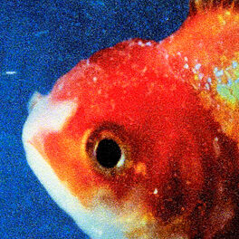 Album cover of Big Fish Theory