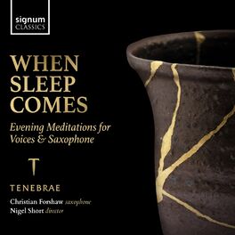 Album cover of When Sleep Comes: Evening Meditations for Voices & Saxophone